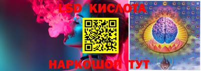 соль ск Новодвинск