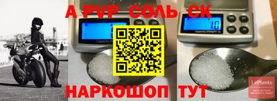 соль ск Новодвинск